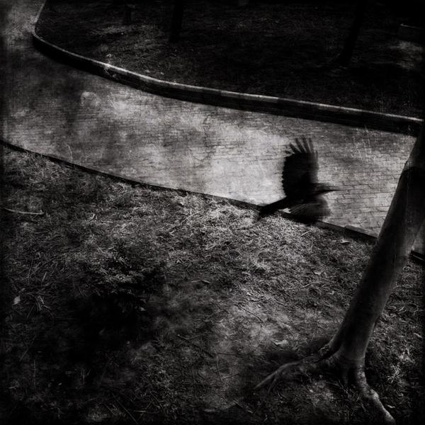 网页版呼叫中心